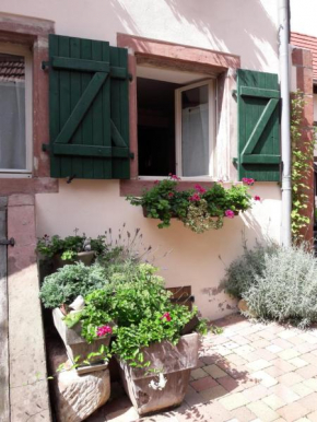  charmant petit appartement en Alsace  Буксвиллер